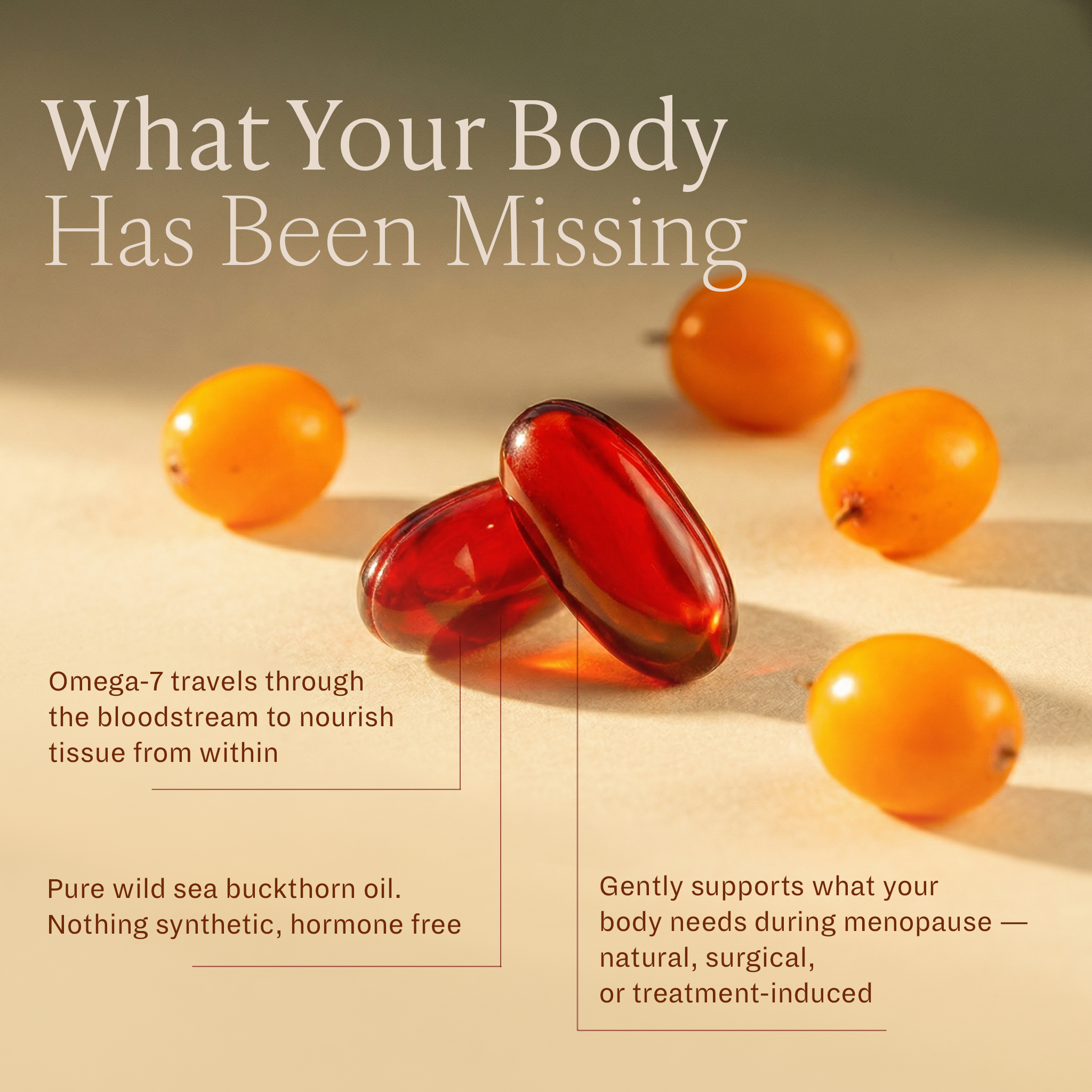 Soakt Sea Buckthorn Oil