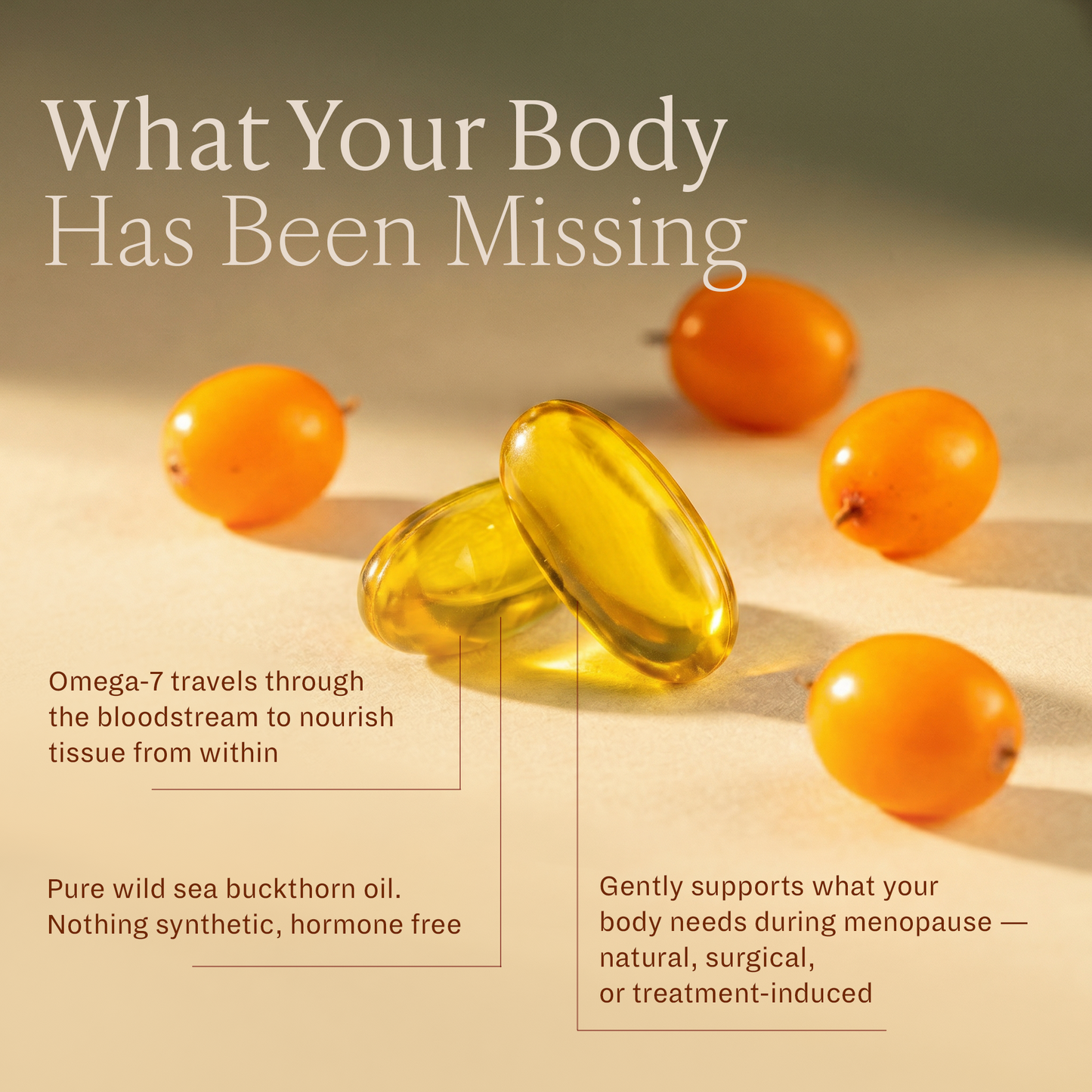 Soakt Sea Buckthorn Oil