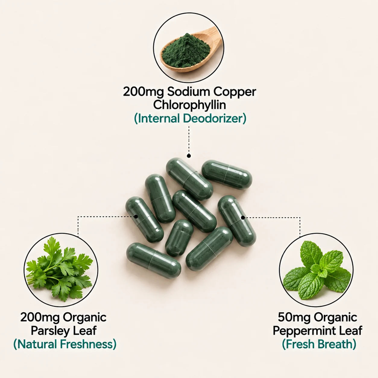 200mg sodium copper chlorophyllin, 200mg organic parsley leaf, 50mg organic peppermint leaf